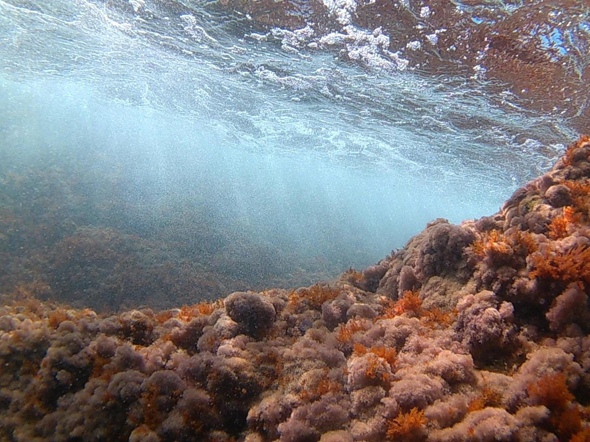 شقة Bilocale Panoramico “Lo Sguardo” ماسّا لوبْرينسِ المظهر الخارجي الصورة